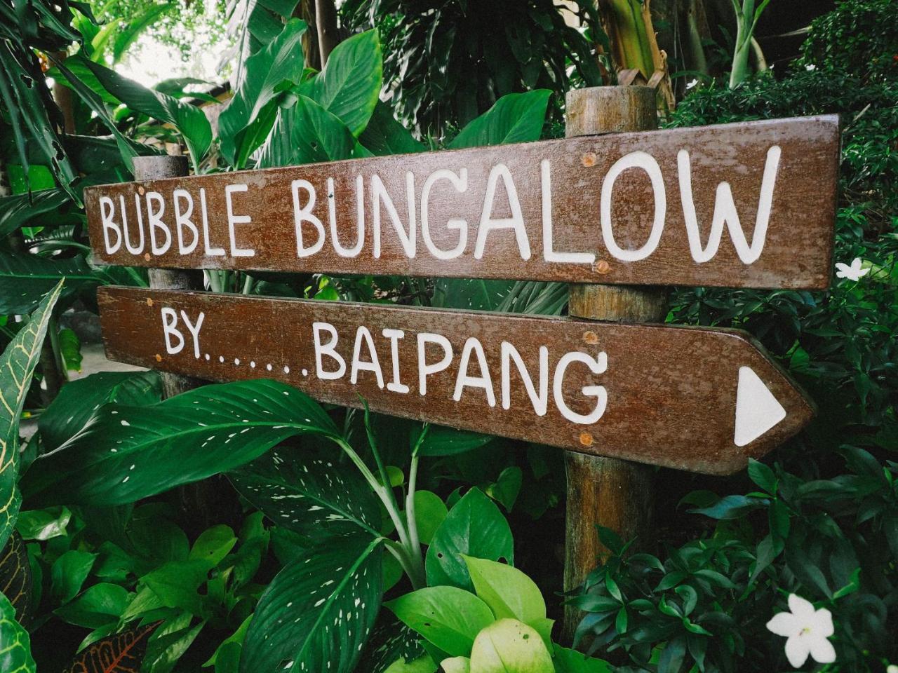 Bubble Bungalow كو تاو المظهر الخارجي الصورة